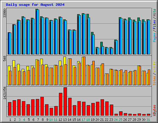 Daily usage for August 2024