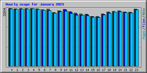 Hourly usage for January 2023