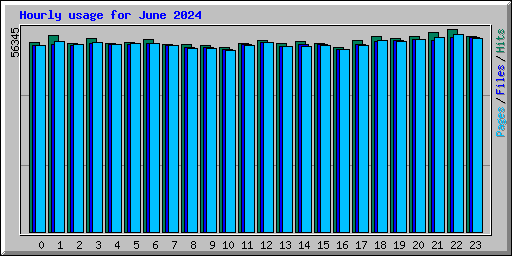 Hourly usage for June 2024