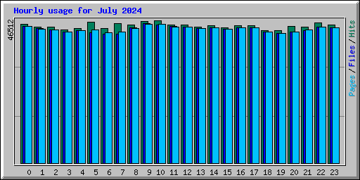 Hourly usage for July 2024