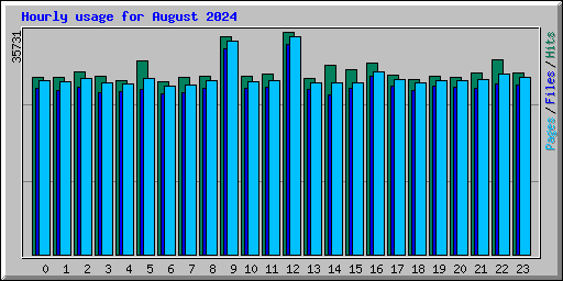 Hourly usage for August 2024