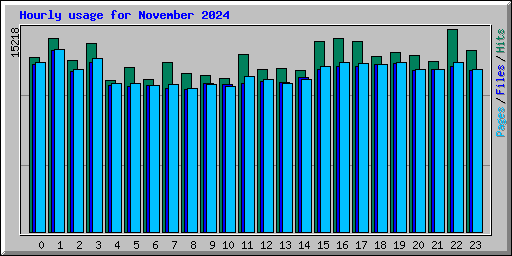 Hourly usage for November 2024