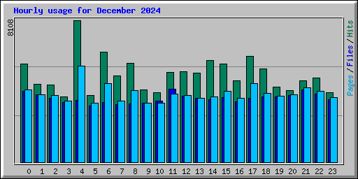 Hourly usage for December 2024