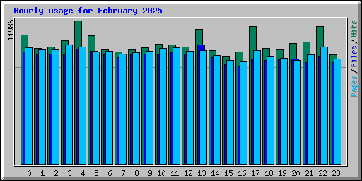 Hourly usage for February 2025