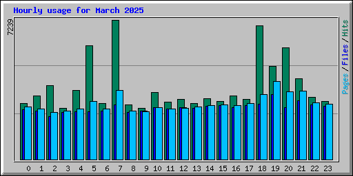 Hourly usage for March 2025